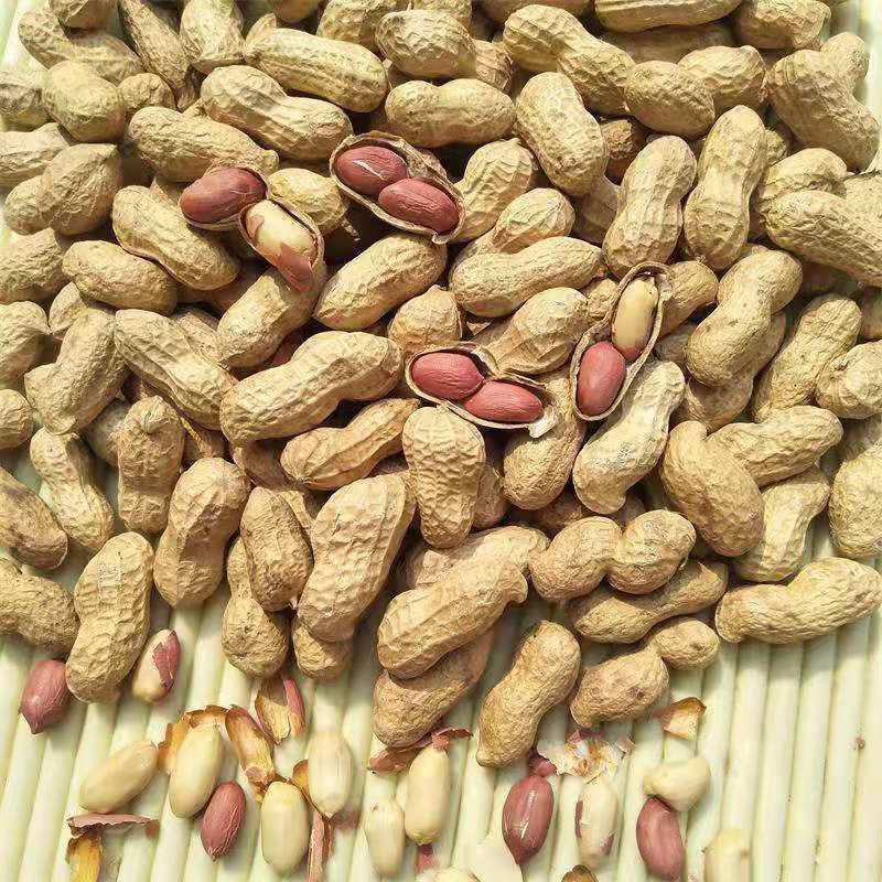 原味农家铁锅炒熟花生带壳生熟花生带壳柴火炒花生现炒现卖批