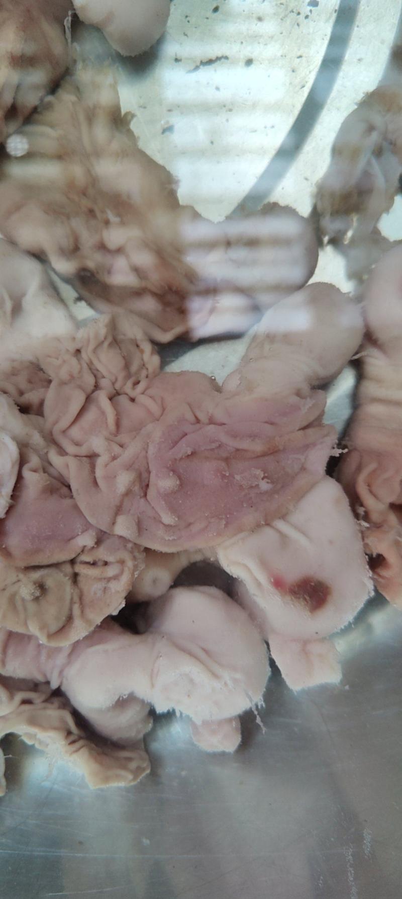 兔肚兔胃兔分割产品活兔现杀速冻可以定制加工分割兔肉兔副产