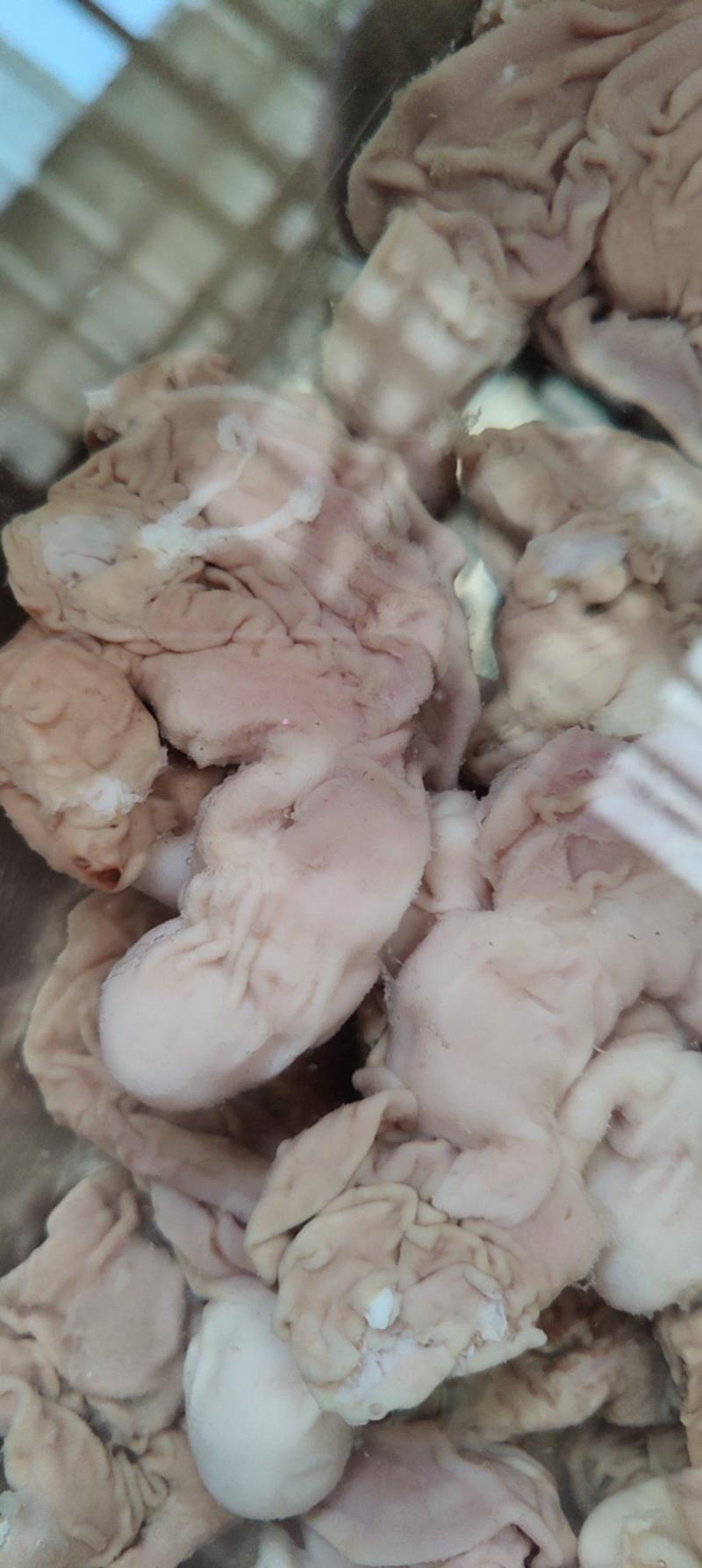 兔肚兔胃兔分割产品活兔现杀速冻可以定制加工分割兔肉兔副产