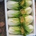 黄心菜！电商，超市直接发货专业团队合作！！！！！！！