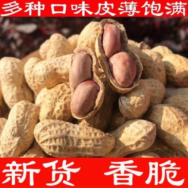 新货5斤花生五香卤味花生批发4斤炒熟坚果花生五香花生包邮