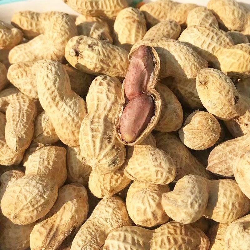 新货5斤花生五香卤味花生批发4斤炒熟坚果花生五香花生包邮