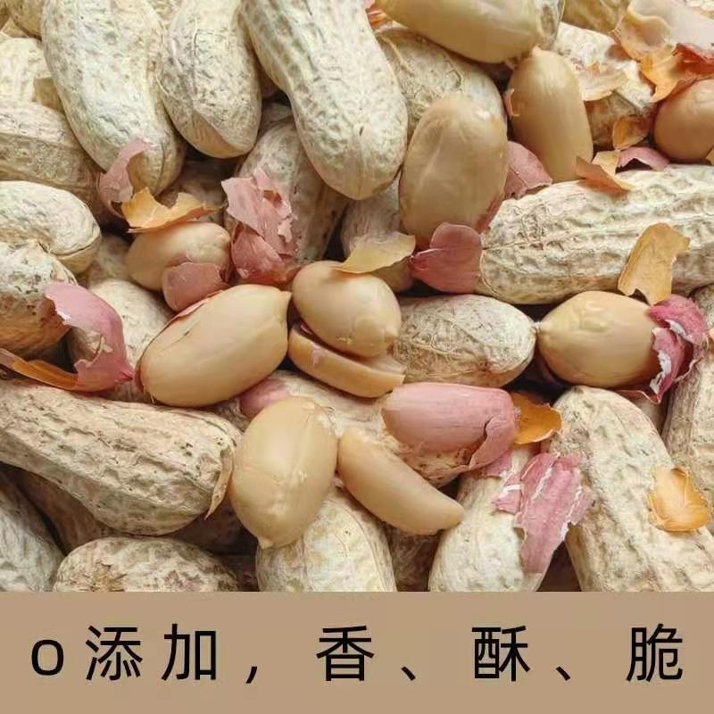 厂家直花生卤味花生零食炒花生晒干花生2023年