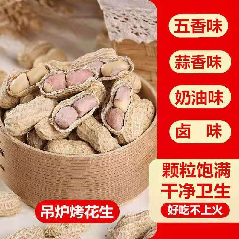 厂家直花生卤味花生零食炒花生晒干花生2023年