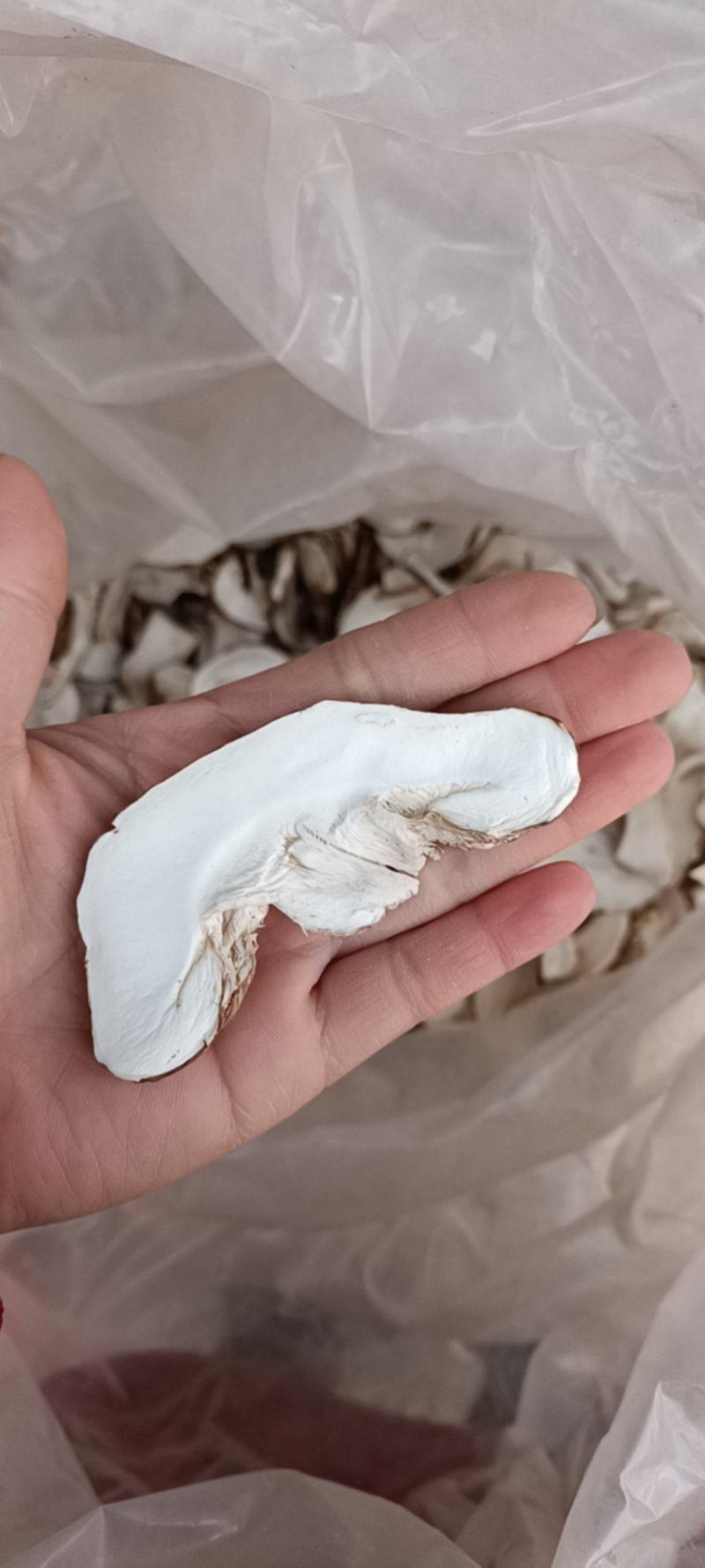 香菇切片香菇片香菇干货