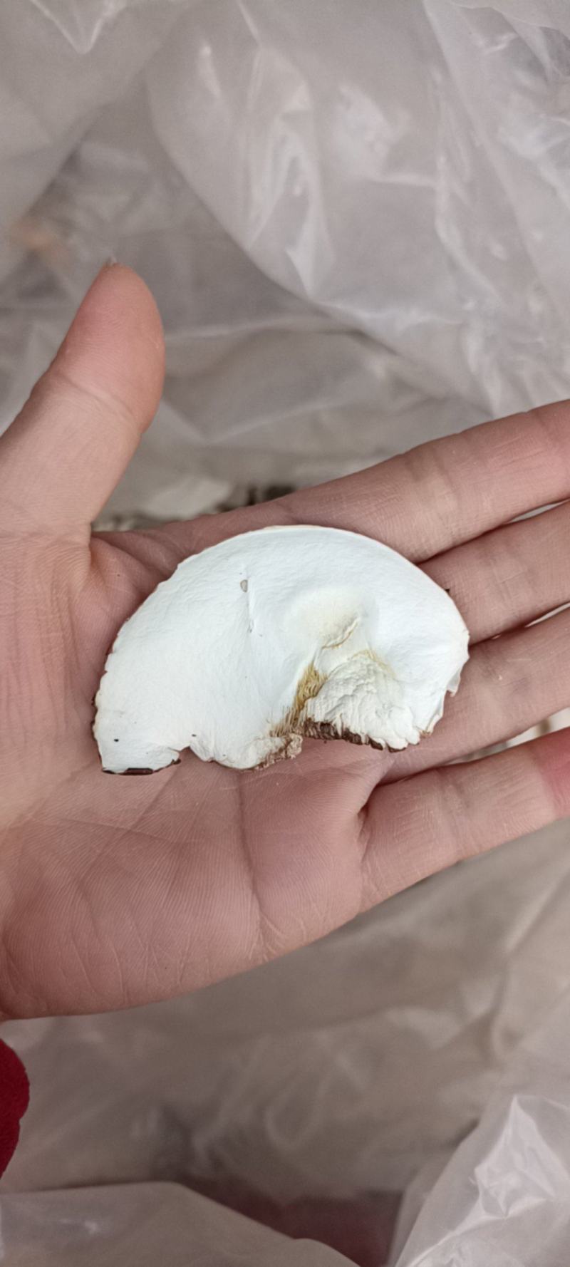 香菇切片香菇片香菇干货