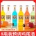 8瓶装鸡尾酒批发整箱酒少女水果酒味网红酒微醺鸡尾酒