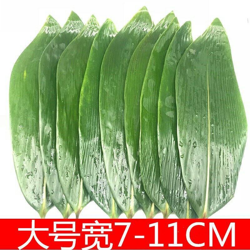 粽叶新鲜大包粽子的叶子粽子叶大叶新鲜野生棕叶批发包邮