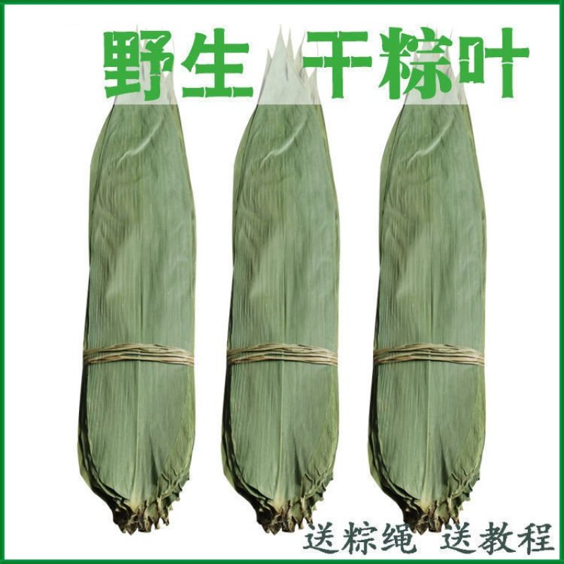 粽叶免邮新鲜干大号粽子叶粽粑叶竹叶包粽子的叶子棕叶竹包邮