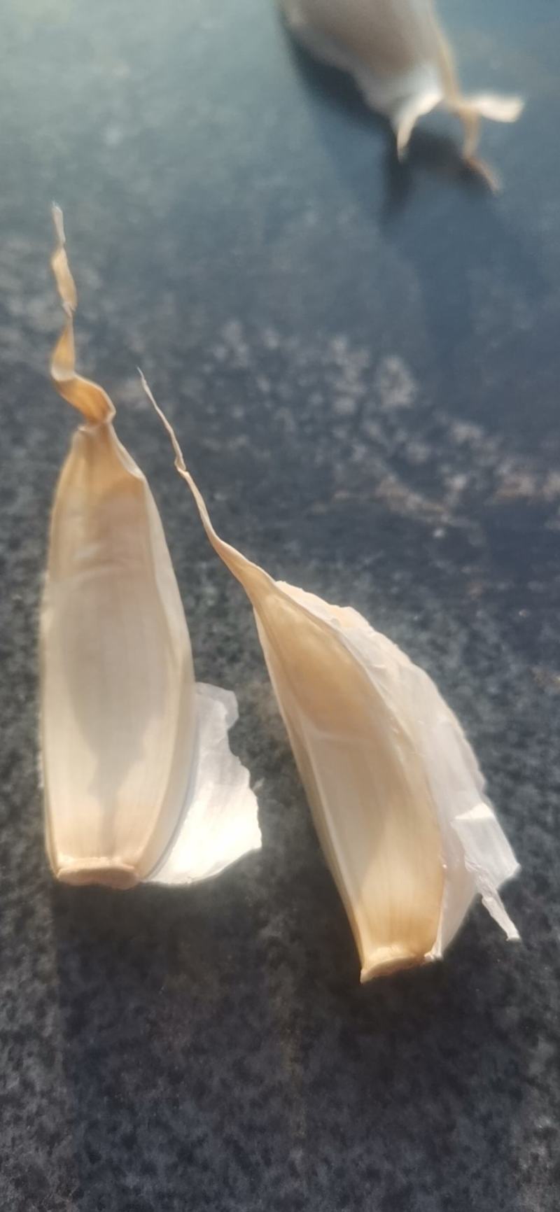 东北白皮蒜