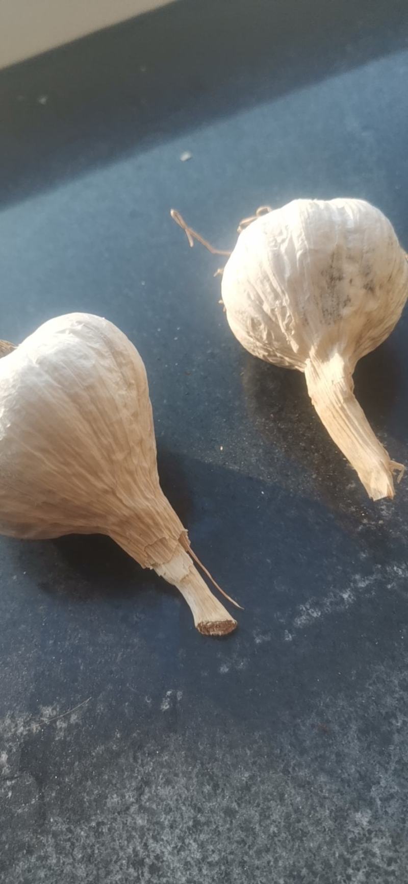 东北白皮蒜