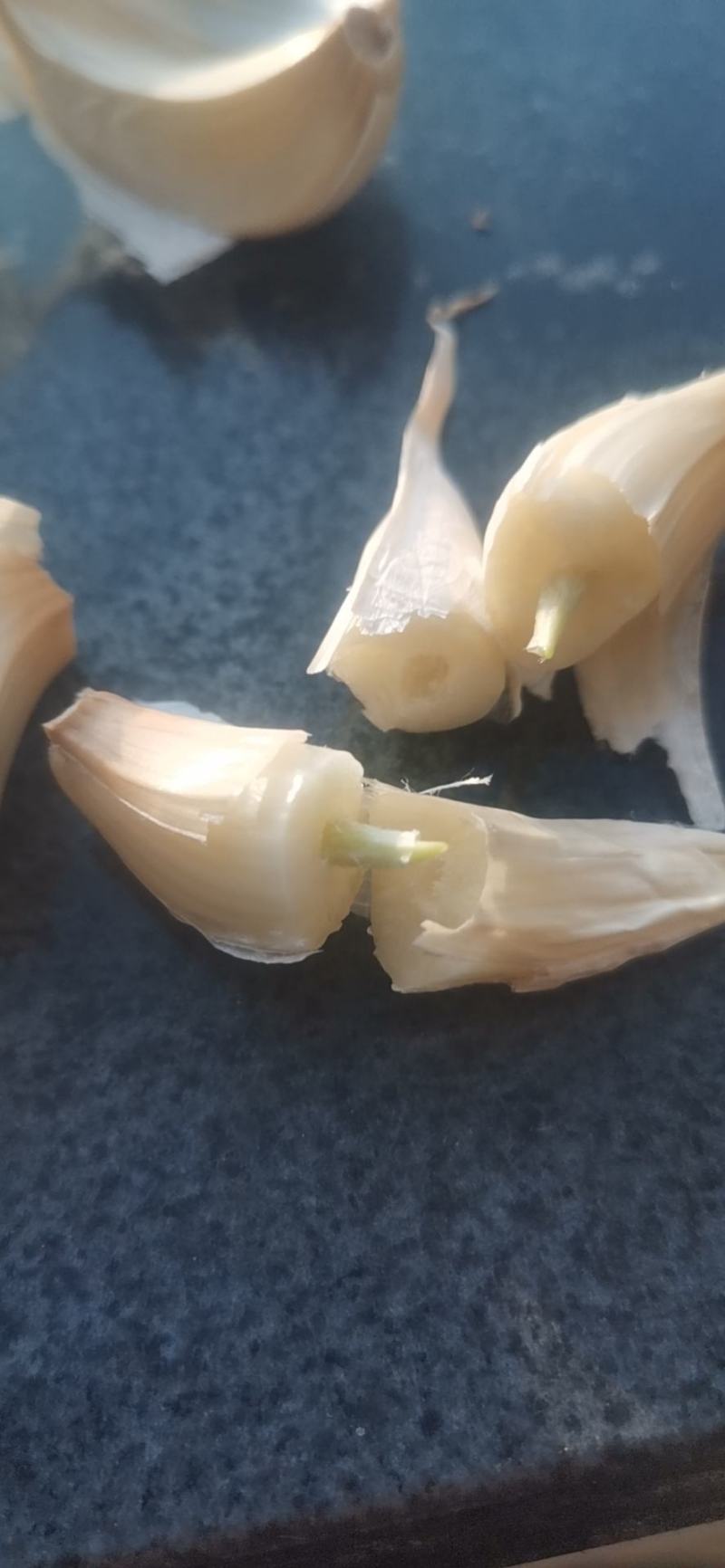 东北白皮蒜