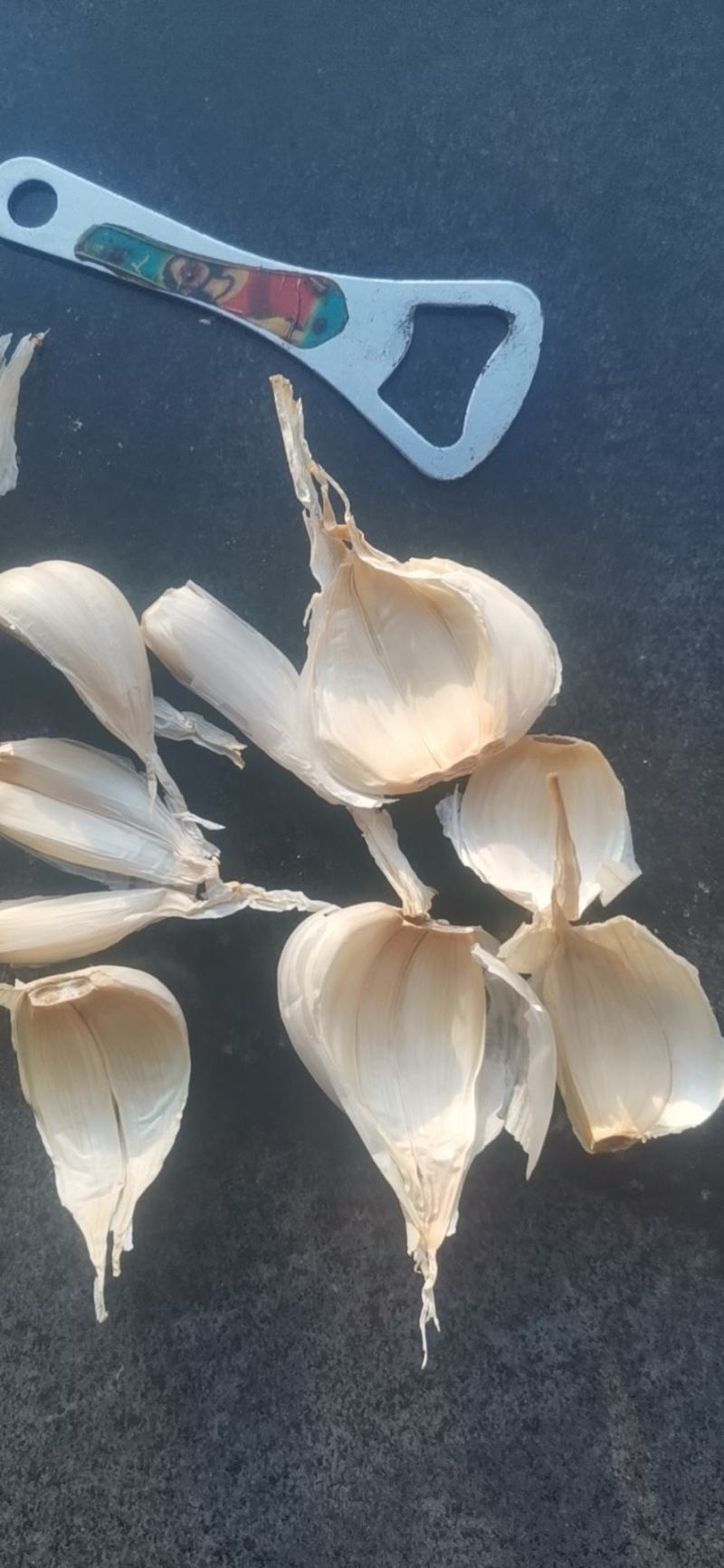 东北白皮蒜