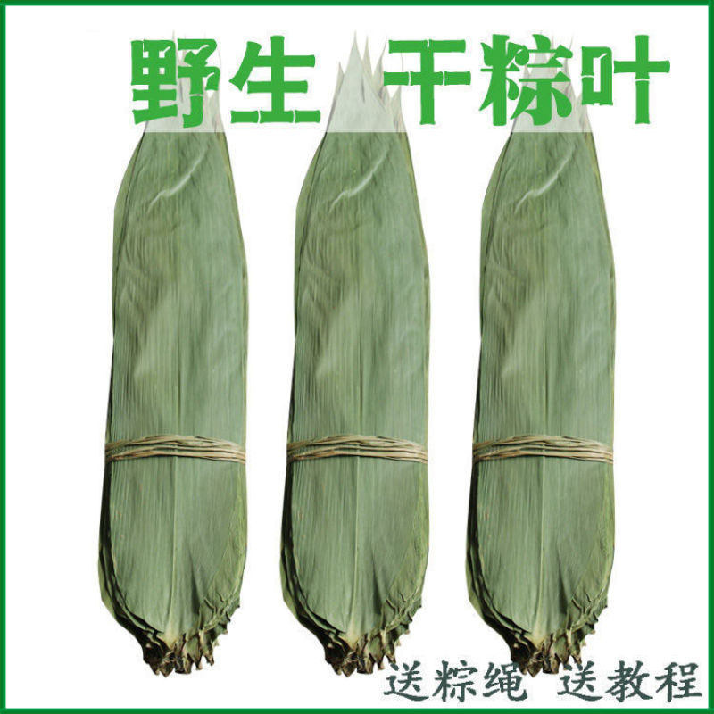 粽叶免邮新鲜干大号粽子叶粽粑叶竹叶包粽子的叶子棕叶竹包邮
