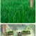 硒都香米2.5kg，5kg10kg/袋产地恩施