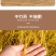 硒都香米2.5kg，5kg10kg/袋产地恩施