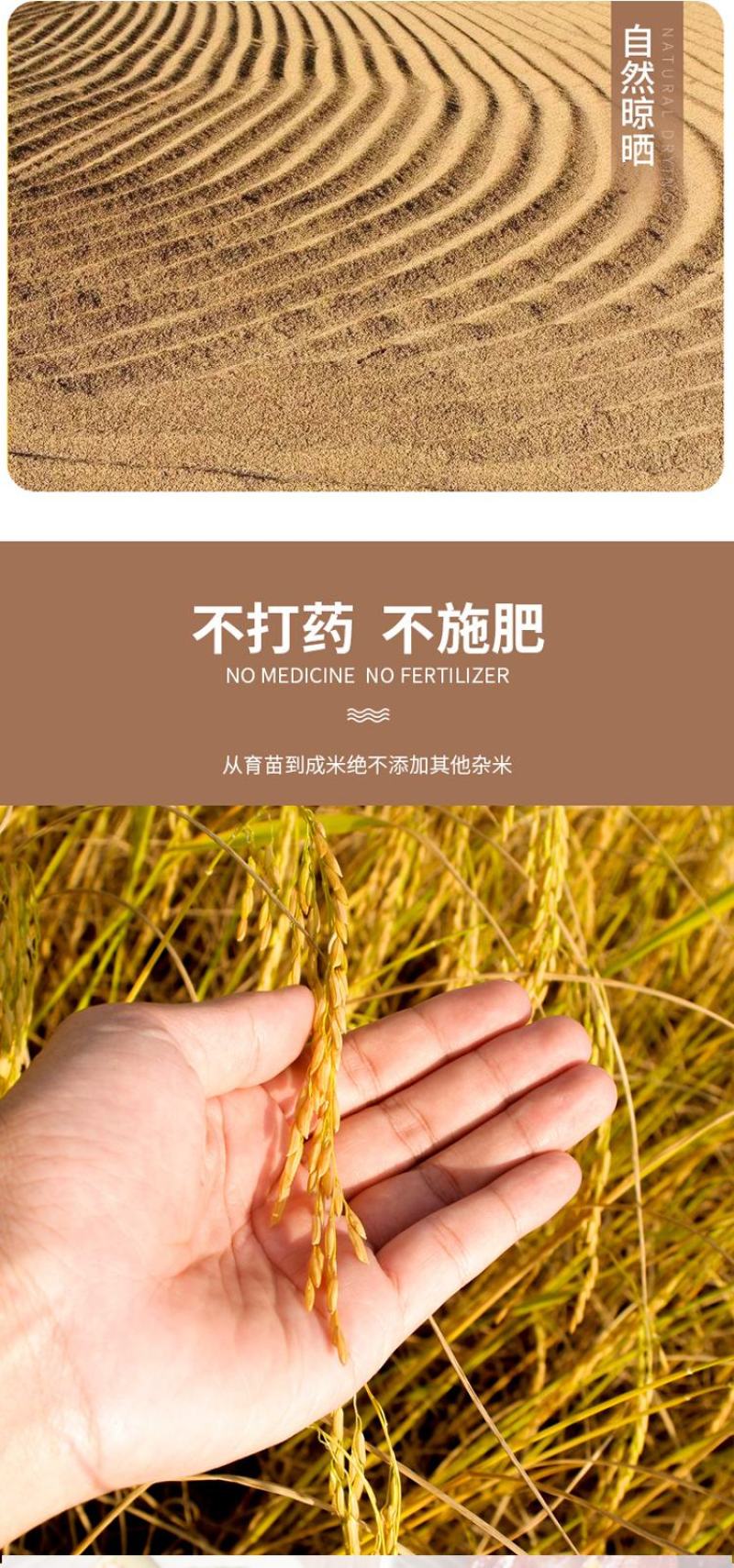 硒都香米2.5kg，5kg10kg/袋产地恩施