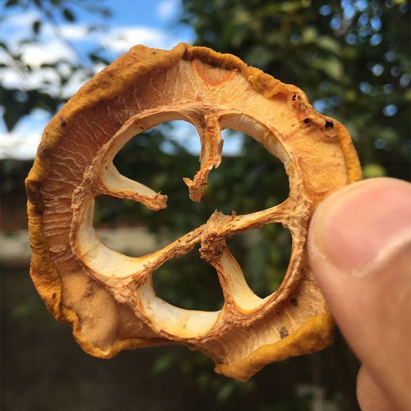 云南酸木瓜干片施甸大理临沧保山特产泡酒干木瓜批发包邮