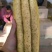 河北安平小白嘴山药，铁杆山药，产地直发，一手货源，质量保