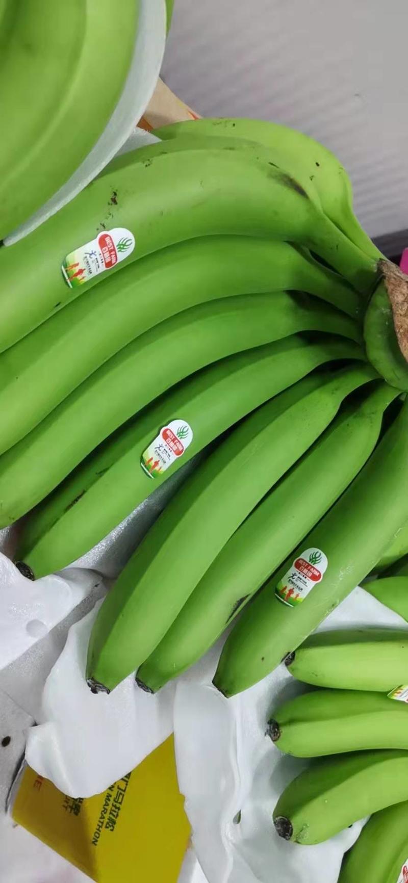 专营进口香蕉，菲律宾青蕉，二黄蕉，价格实惠，欢迎实地看货