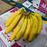 专营进口香蕉，菲律宾青蕉，二黄蕉，价格实惠，欢迎实地看货