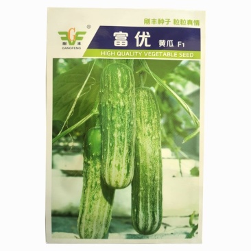 白黄瓜种籽吊瓜子白丝条黄瓜高产种子极早熟黄瓜种子