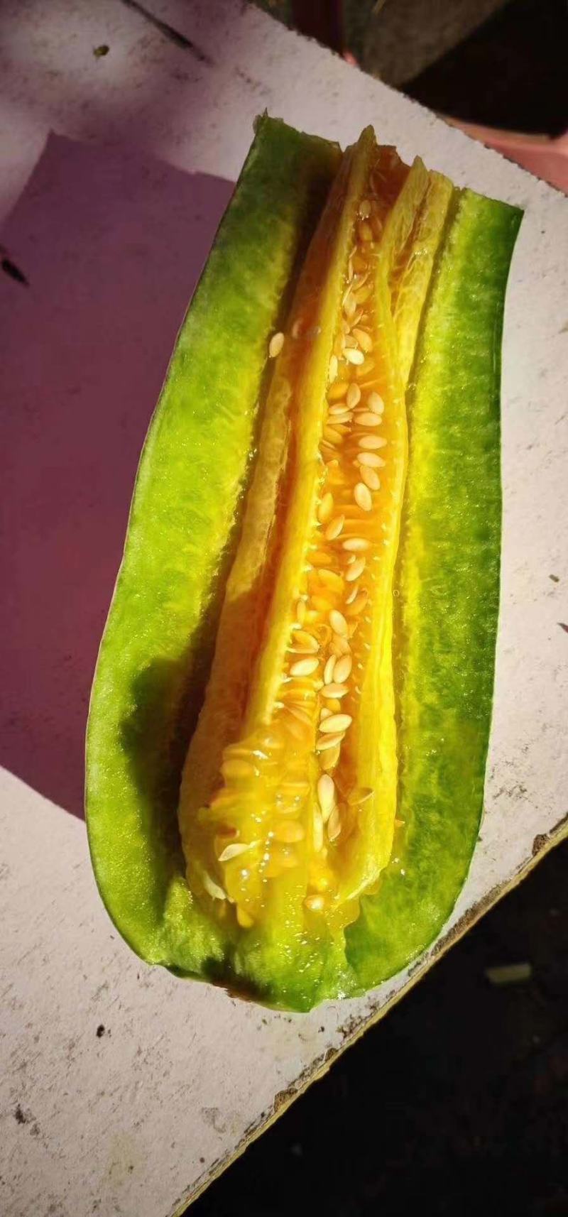 羊角蜜甜瓜博洋甜瓜专业代办产地直发全国可发