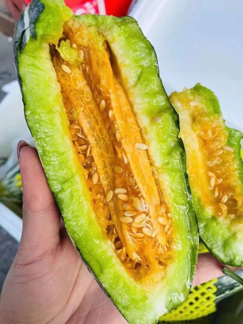 羊角蜜甜瓜博洋甜瓜专业代办产地直发全国可发
