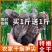 烟笋干干货农家柴火烟笋笋干笋尖湖南特产干烟笋野生竹笋干批