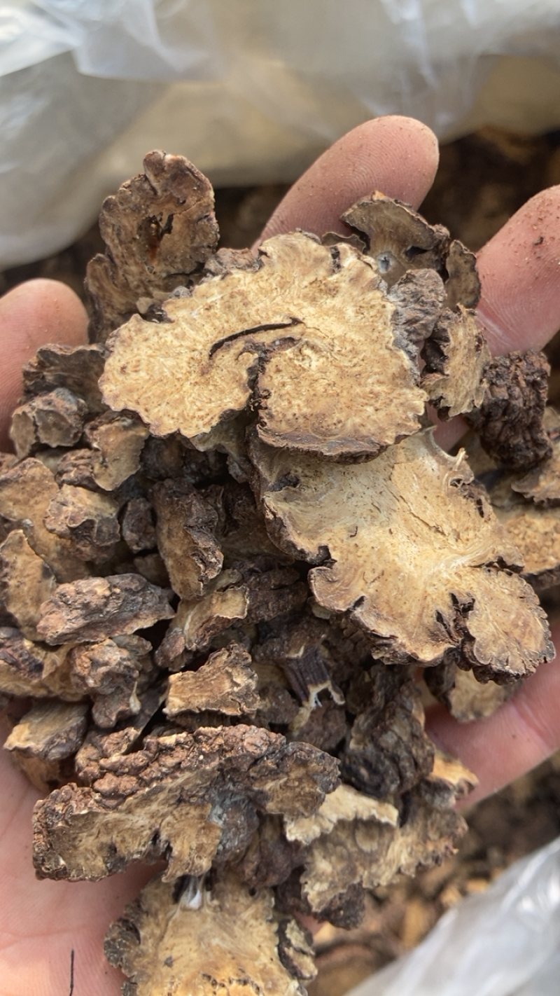 川芎，含量高，自己纯手工制作，无硫，要的请私聊我