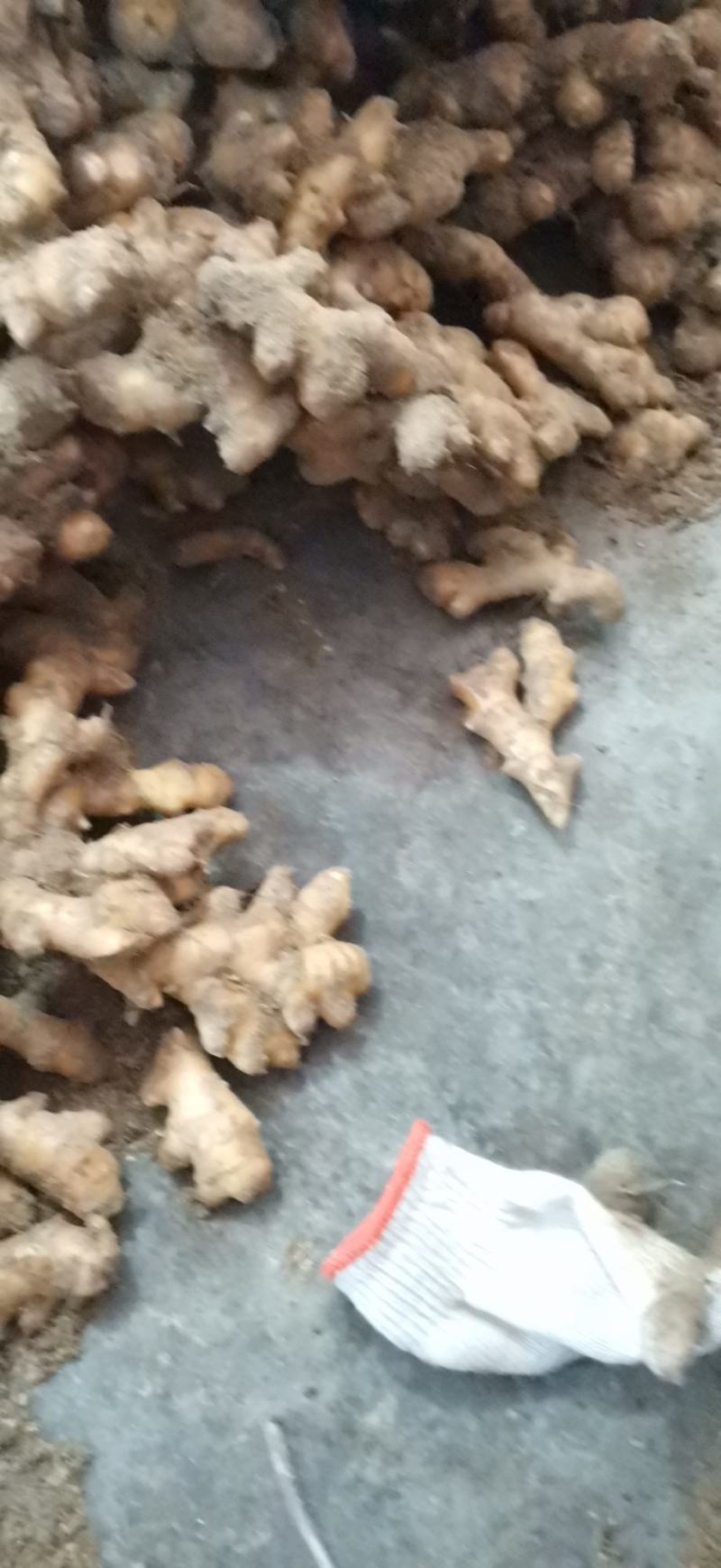 生姜