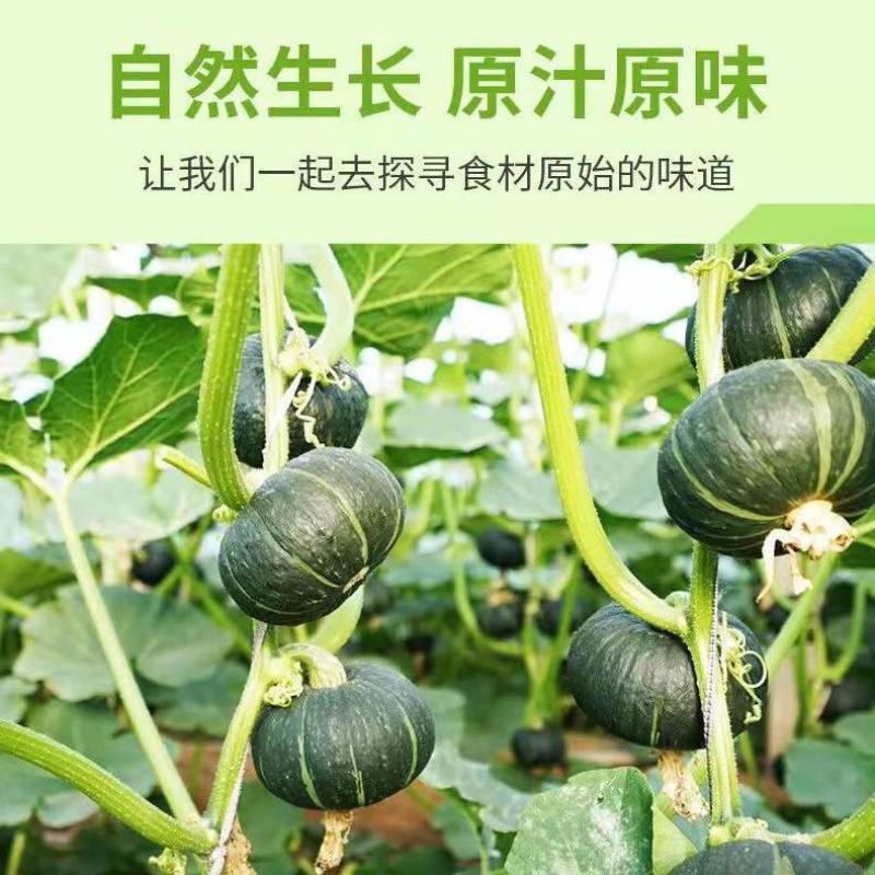 脱水蔬菜南瓜条500g南瓜干杂食南瓜条营养代餐煮