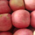 【精品】寒富苹果河北苹果冷库地面货规格全欢迎咨询