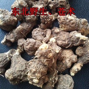 苍术,苍术个子,产地东北,药典标准道地药材,支持线上交易