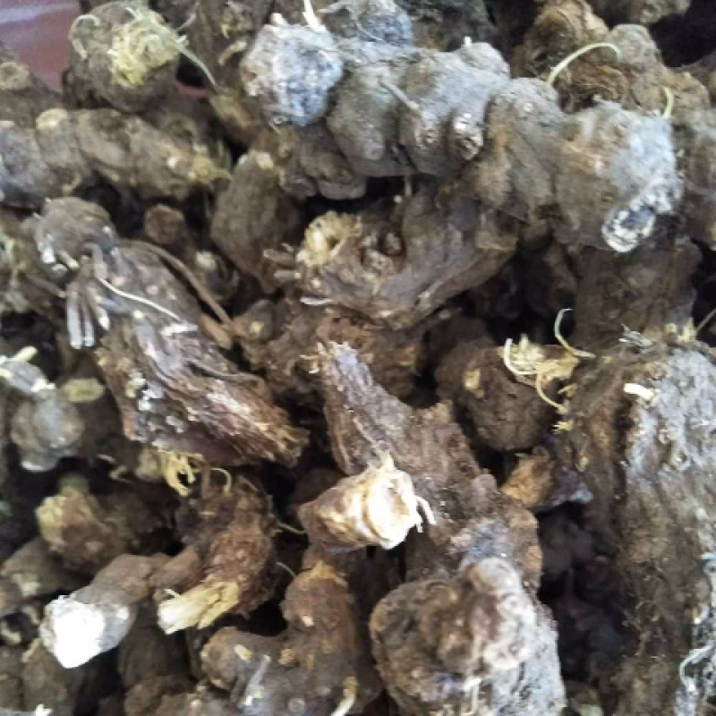 苍术，苍术个子，产地东北，药典标准道地药材，支持线上交易