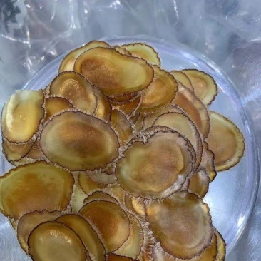 长白山鹿乡鹿茸片