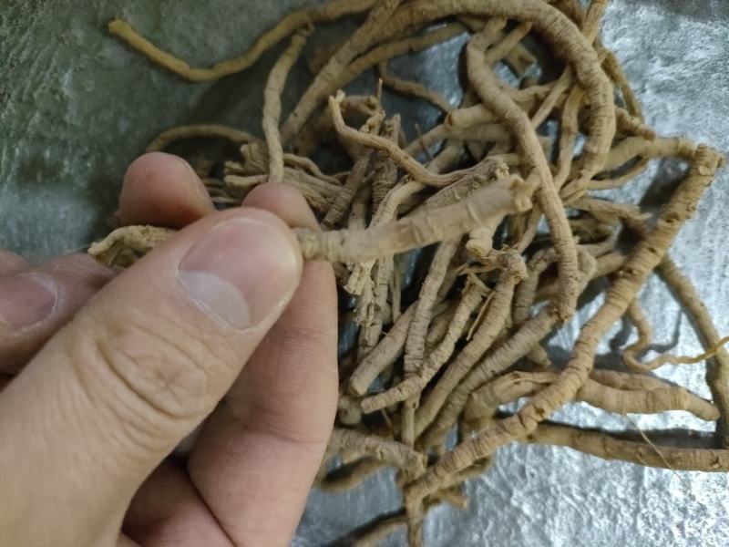 远志别称葽绕、棘葾、苦远志、小鸡眼。足斤足量，纯无硫
