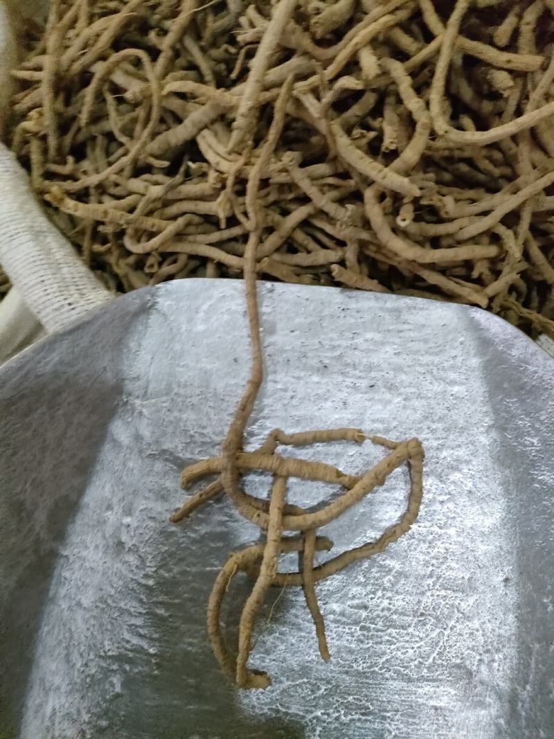 远志别称葽绕、棘葾、苦远志、小鸡眼。足斤足量，纯无硫