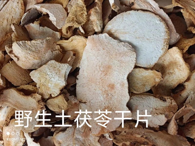 野生土茯苓精粉