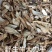 野生土茯苓精粉