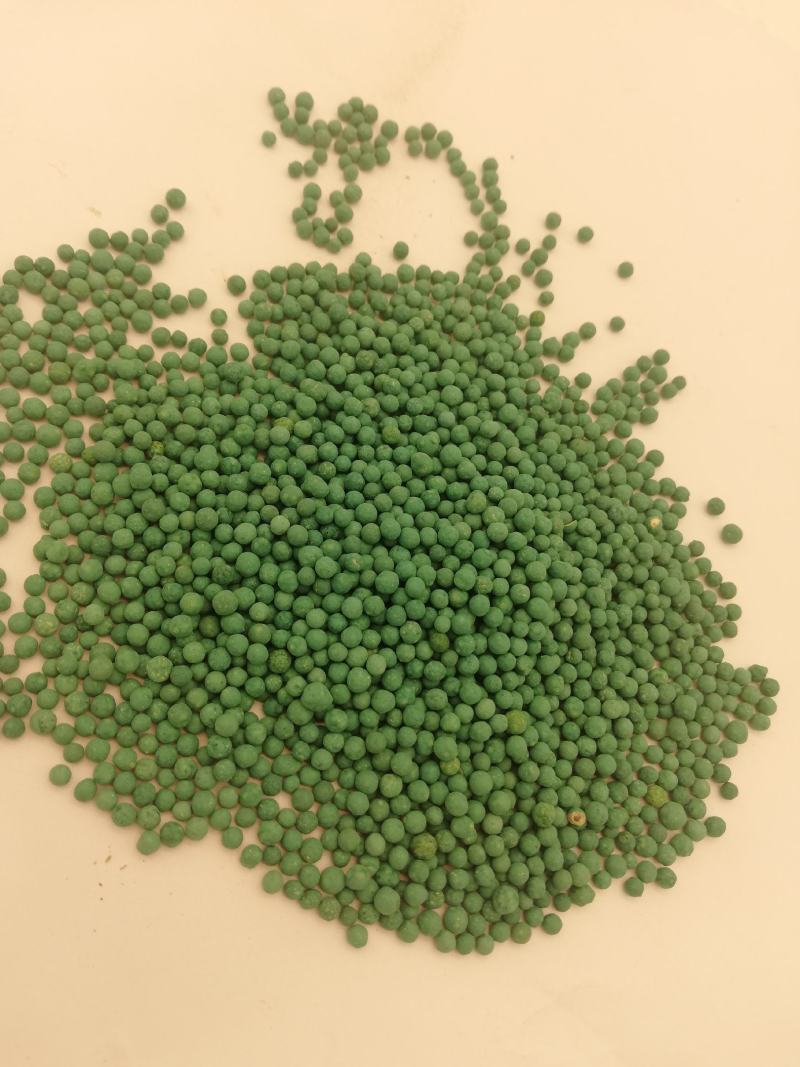 马蹄金种子草籽边坡绿化草种观赏草坪心形铜钱草四季常青