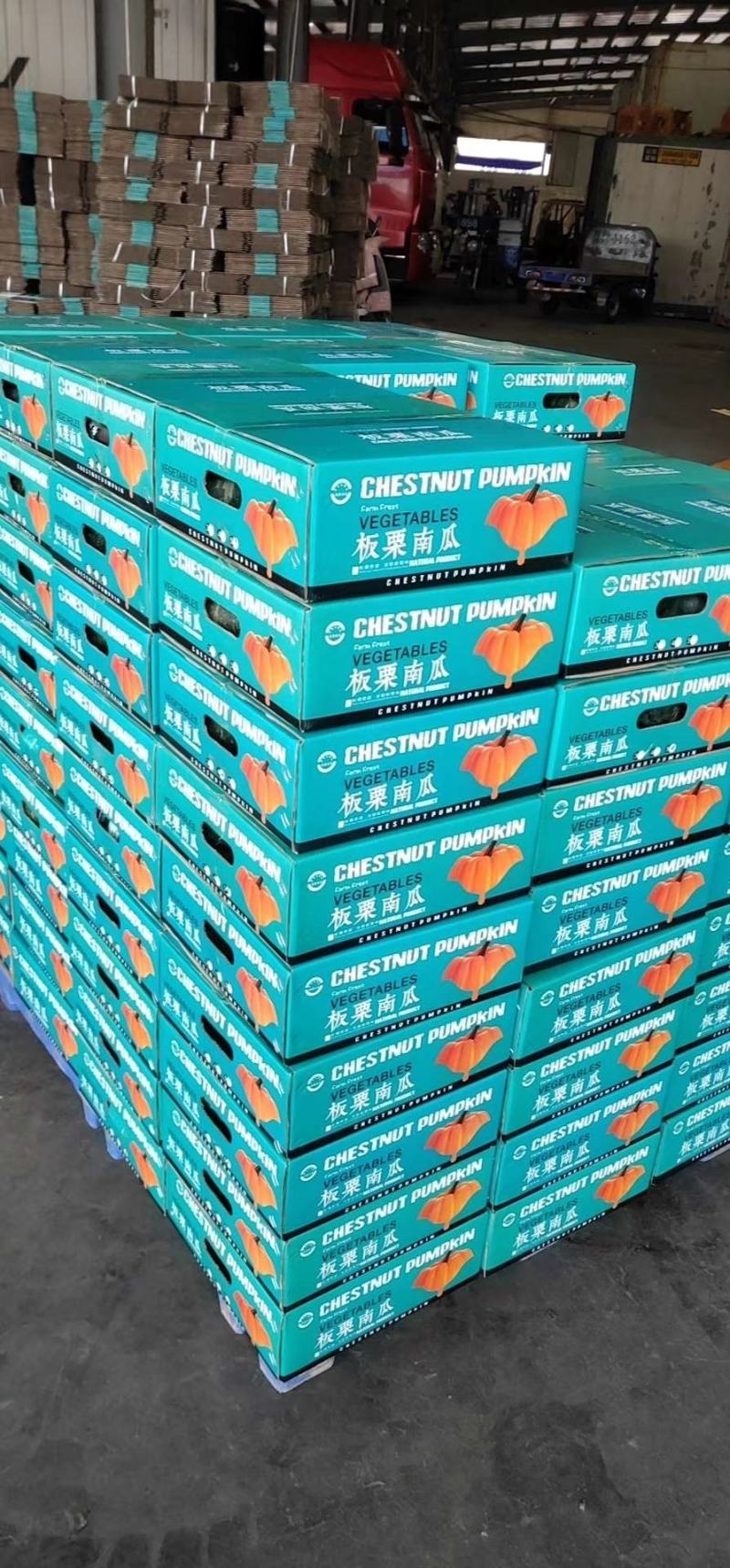 礼盒装板栗味贝贝南瓜一件代发5斤包邮产地直采发支持各包装