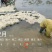 今天4600斤，祝两个老板发财！欢迎各位老板要货联系！