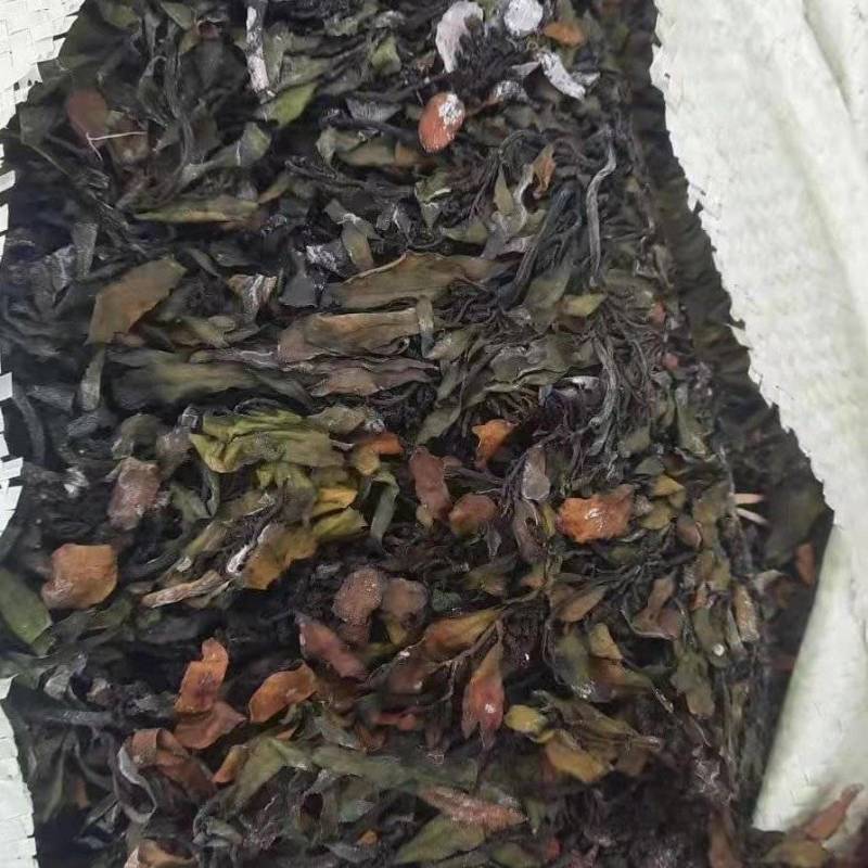 印尼大叶菜