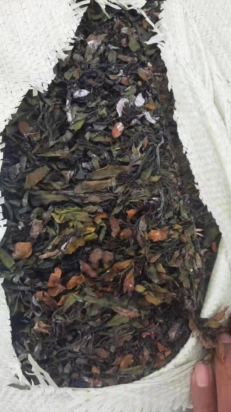 印尼大叶菜