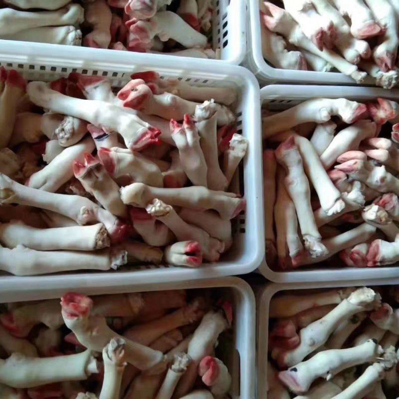 精品羊蹄，大中小号常年有货，厂家批发一手货源。