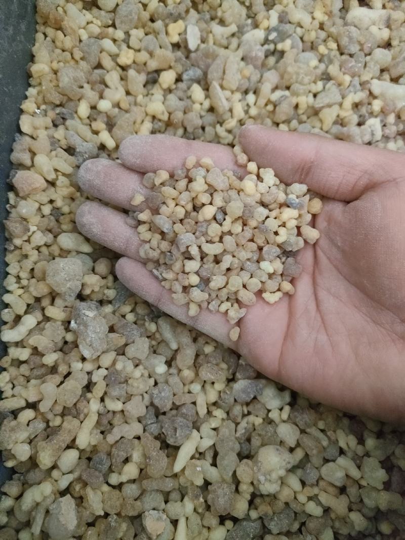 乳香别称乳香珠、滴乳香、熏陆香。足斤足量纯无硫。