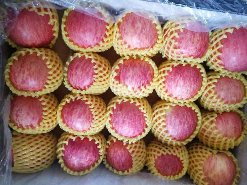 山东精品红富士大量供应【全红条纹果颜色好果，脆甜价低