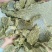 质量有保，货源充足，多购有优惠