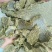 质量有保，货源充足，多购有优惠